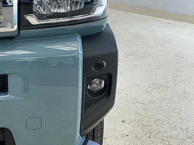 Daihatsu Taft 8