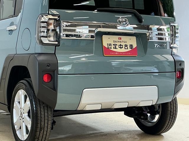 Daihatsu Taft 9