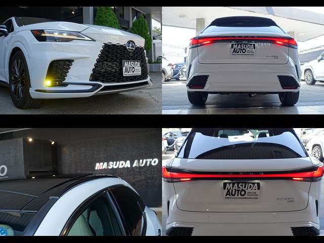 Lexus RX 11