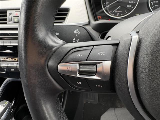 BMW X1 7