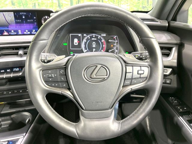 Lexus UX 9