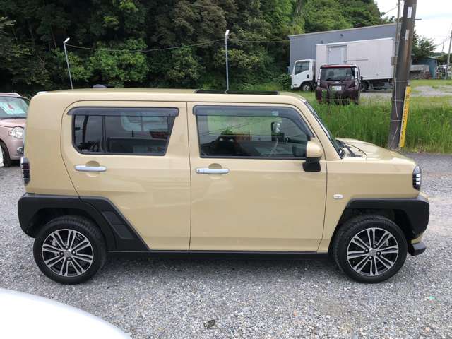 Daihatsu Taft 8