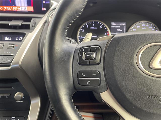Lexus NX 11