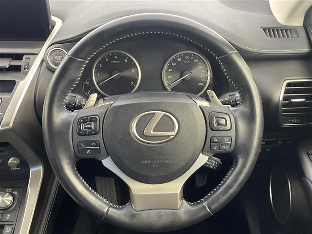 Lexus NX 10