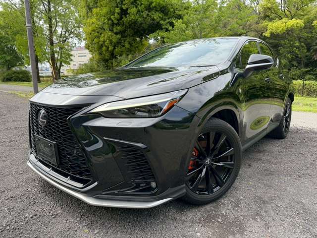 Lexus NX 9