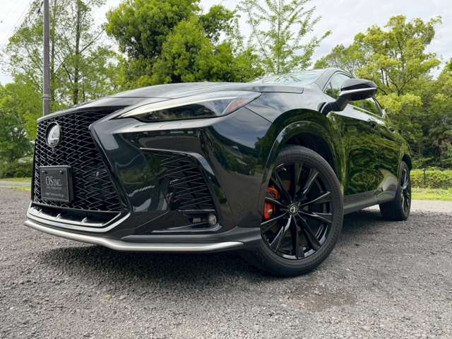 Lexus NX 10