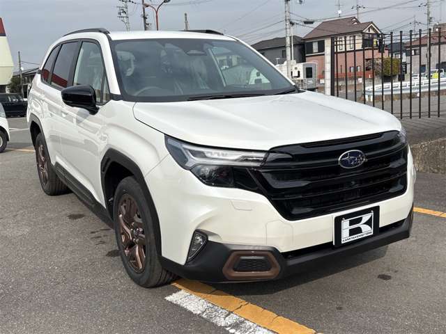 Subaru Forester 12