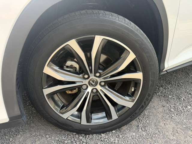 Lexus RX 11