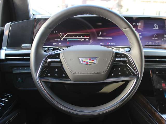 Cadillac エスカレード 12
