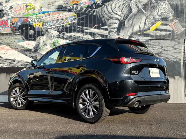 Mazda CX-5 11