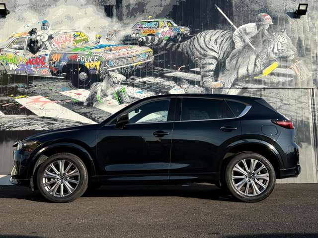 Mazda CX-5 12
