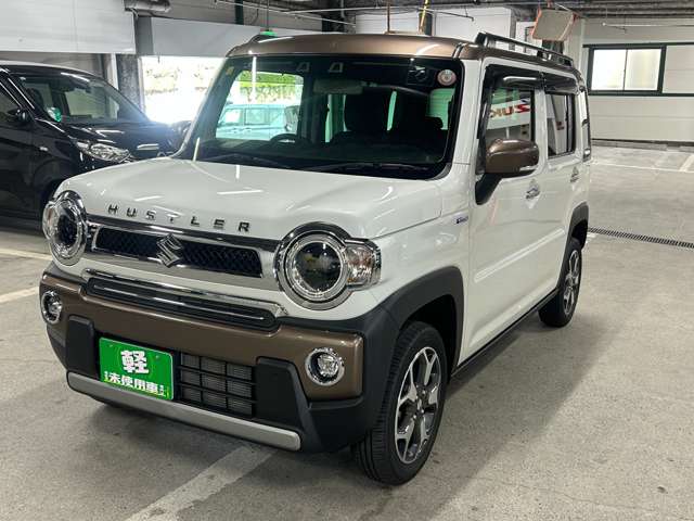 Suzuki Hustler 11
