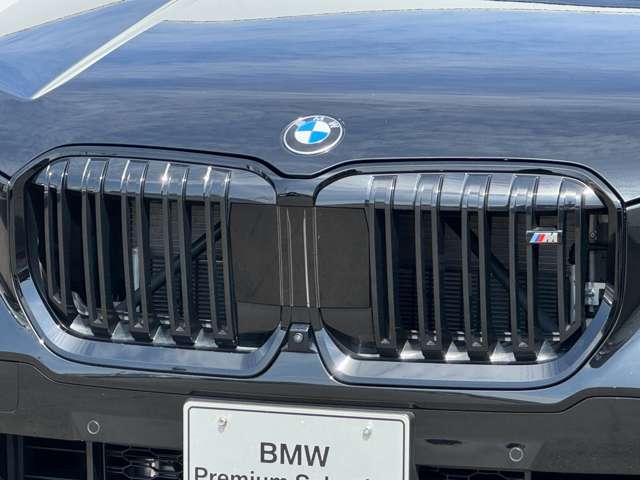 BMW X1 10