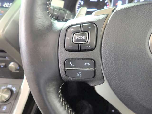 Lexus NX 12