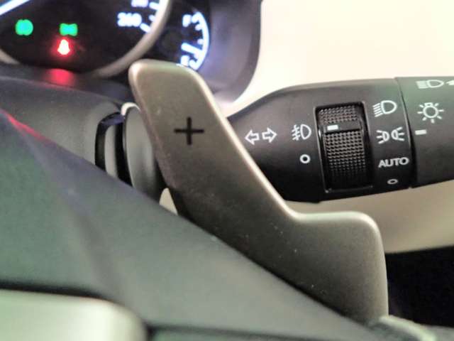 Lexus NX 10