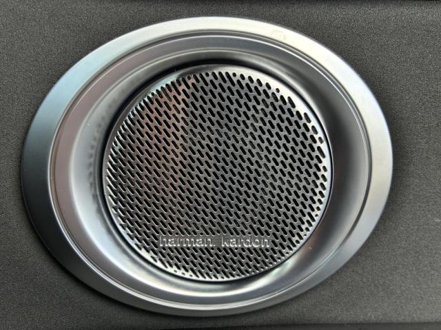Alfa Romeo トナーレ 11