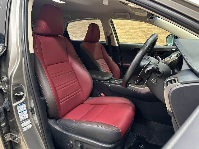 Lexus NX 11