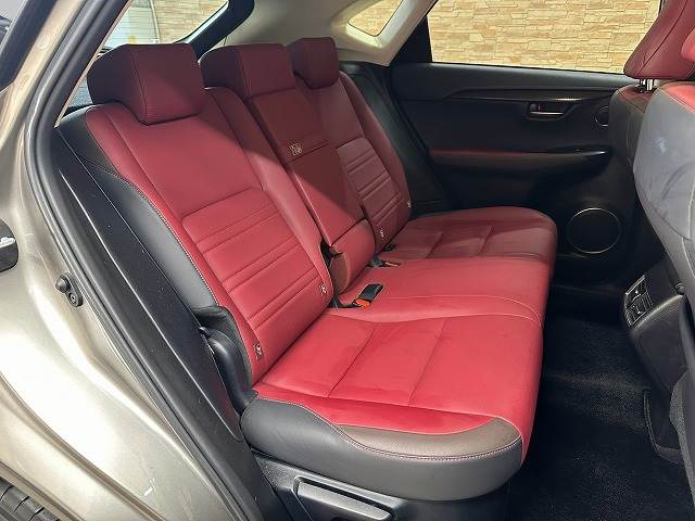 Lexus NX 12