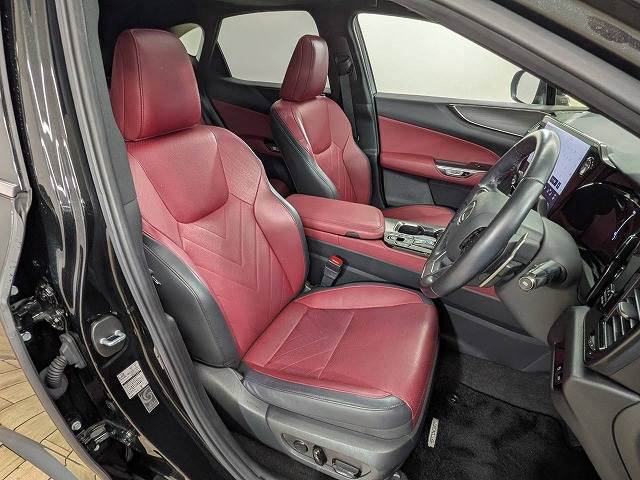 Lexus NX 5