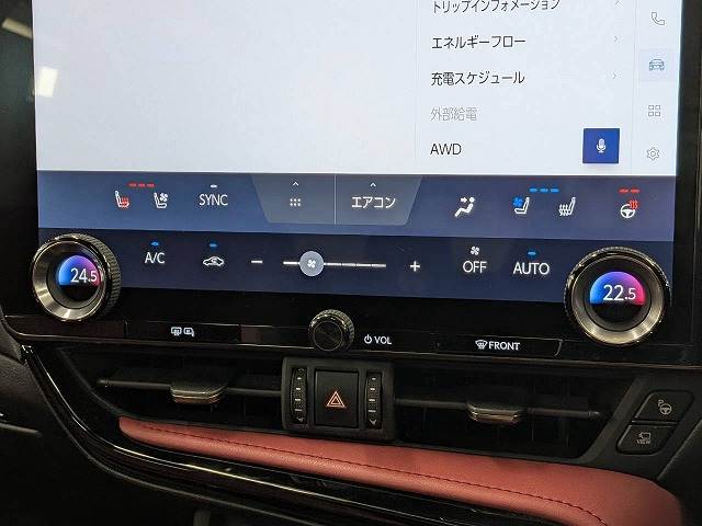 Lexus NX 10
