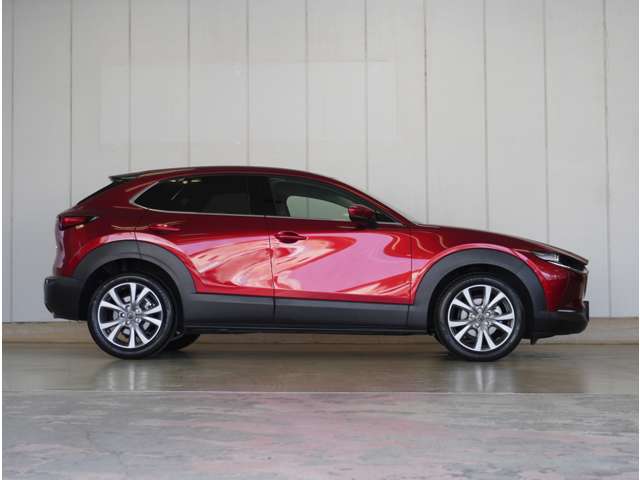 Mazda CX-30 9