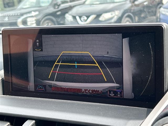 Lexus NX 8