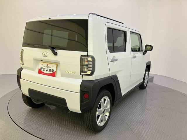 Daihatsu Taft 11