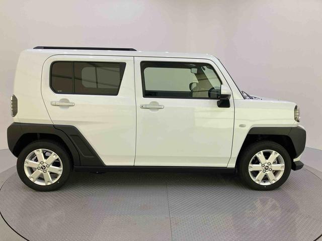 Daihatsu Taft 12
