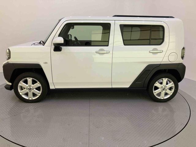 Daihatsu Taft 8