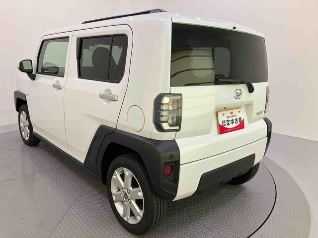 Daihatsu Taft 9
