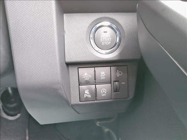 Daihatsu Taft 8