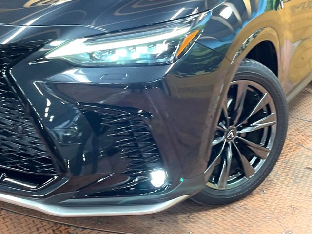 Lexus NX 12