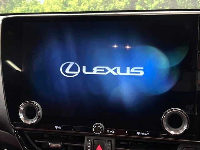 Lexus NX 4
