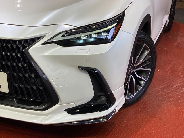 Lexus NX 12