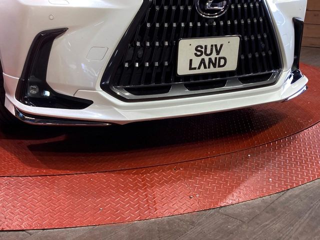 Lexus NX 4