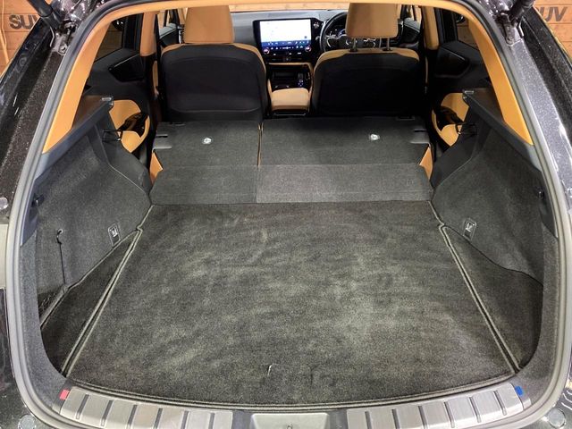 Lexus NX 11