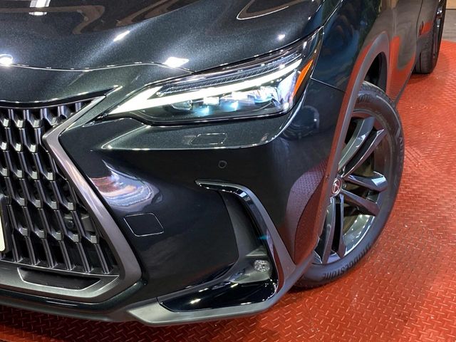 Lexus NX 12