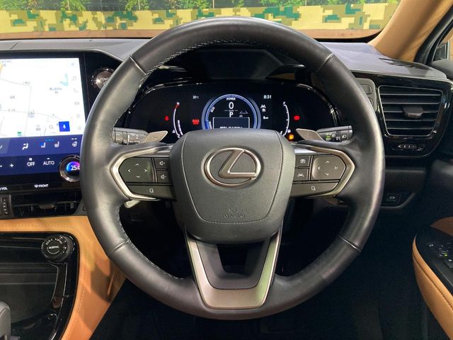 Lexus NX 8