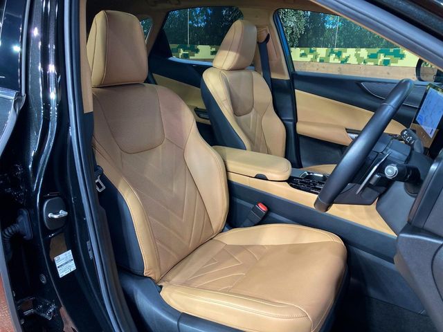 Lexus NX 9