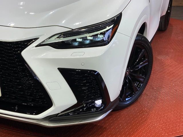 Lexus NX 12