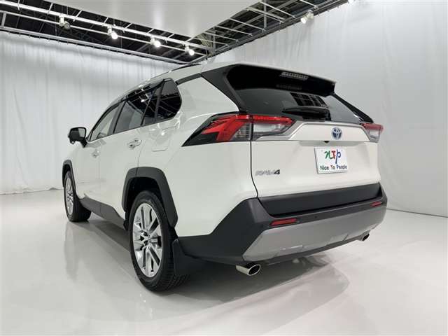 Toyota RAV4 6
