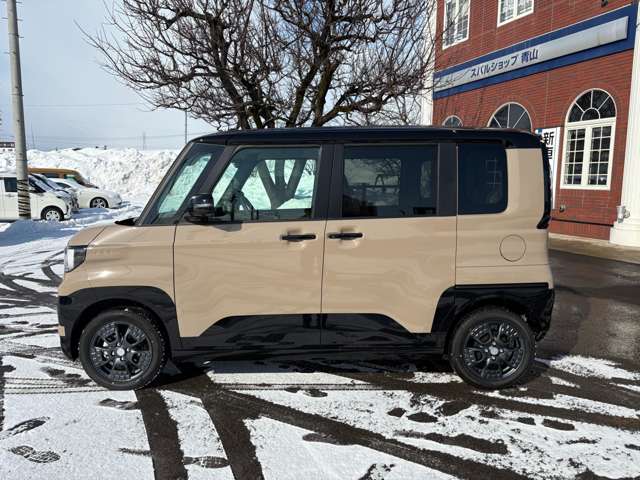 Mitsubishi Delica Mini 2