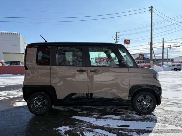 Mitsubishi Delica Mini 3