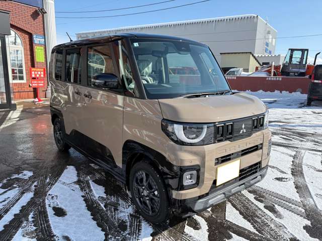 Mitsubishi Delica Mini 7