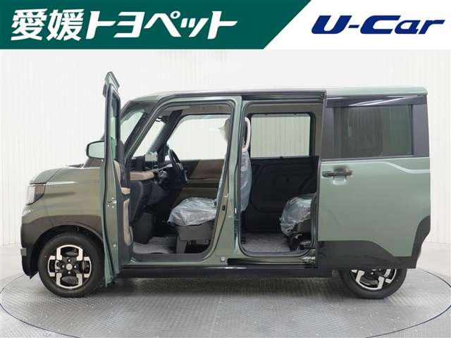 Mitsubishi Delica Mini 4
