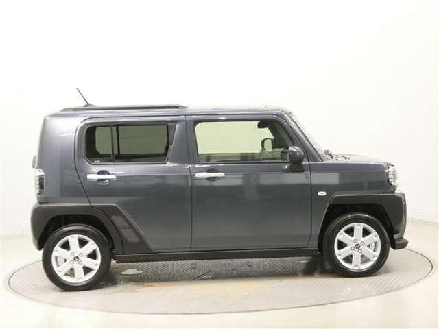 Daihatsu Taft 8