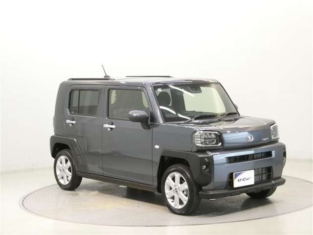 Daihatsu Taft 9