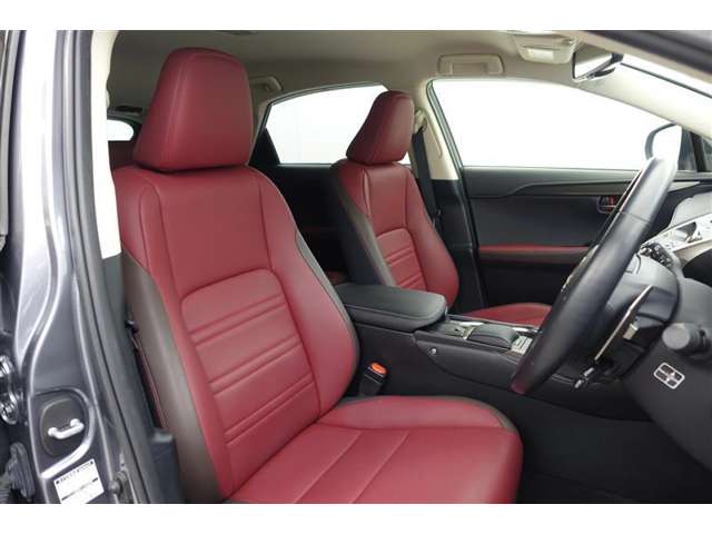 Lexus NX 6