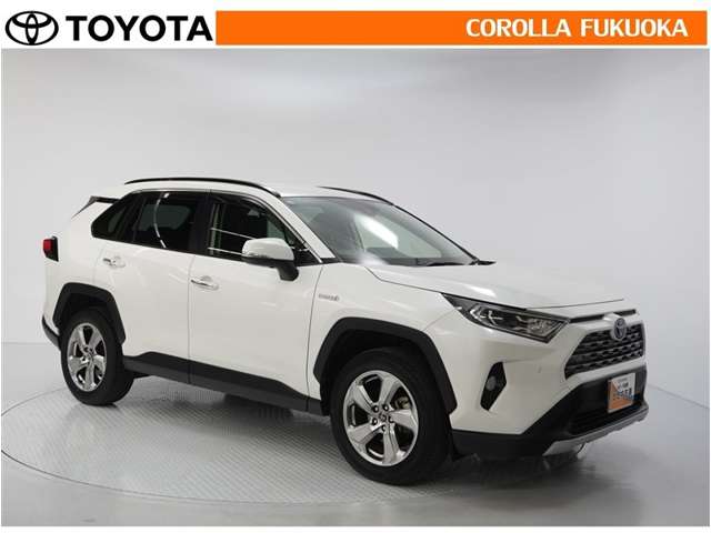 Toyota RAV4 10