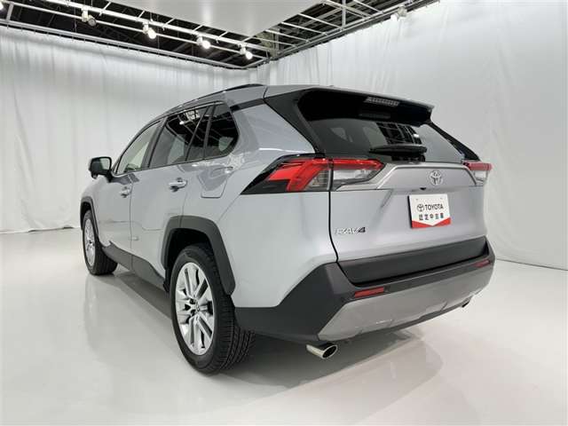 Toyota RAV4 6